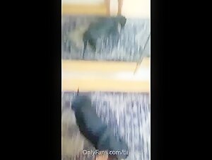Dog sex video: an extreme experience