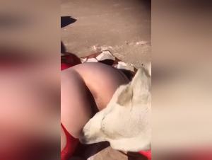 Porn xxx movies with dog, XXX overalls