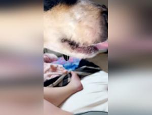 Cruel Delights: A Fetish Power Play