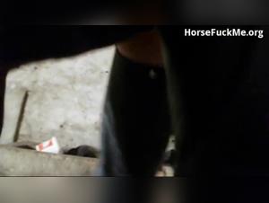 Wild uprights: Creampie and Animal Ardor in the stable