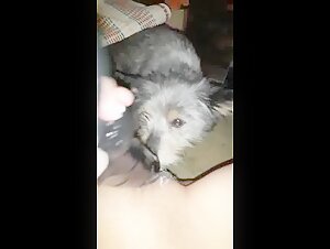 Sex video with a dog: a beastly and exciting encounter