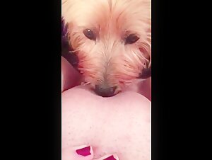 Intense moments of bestiality with a dog