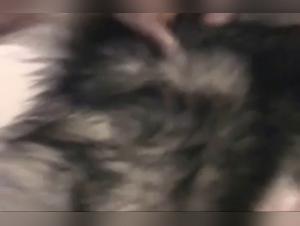 Exceeding Limits: An Incandescent Sexual Journey with Caledonian KC