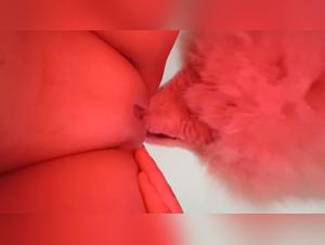 Scène de léchage de chien