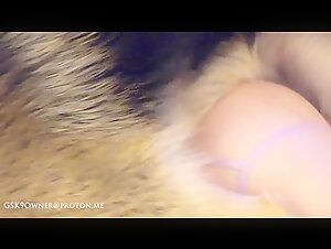 Bestiality sex videos: discover the world of zoophilia